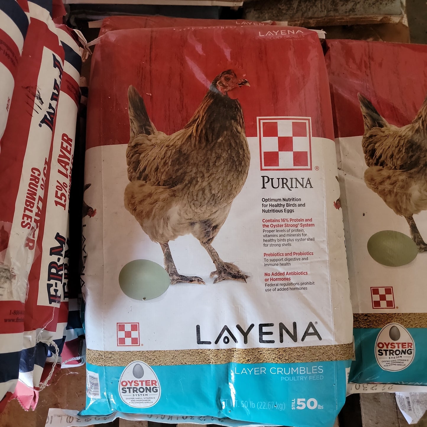 Purina Layena layer Crumbles-50#