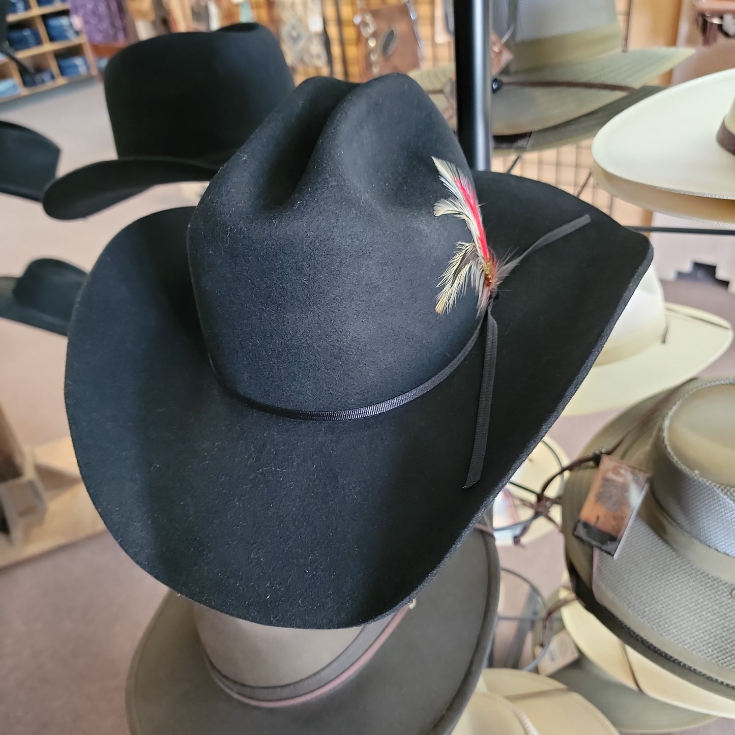 BLACK JACK HAT-BLACK : M