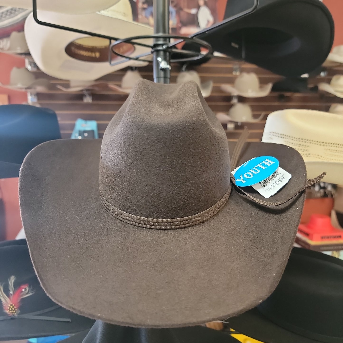 Youth Felt Cowboy hat T7213002