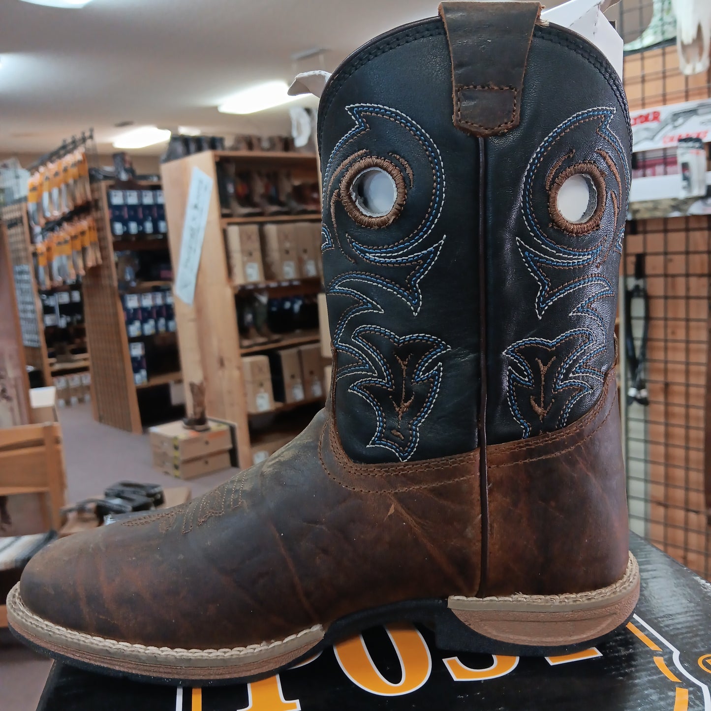 Boots - Dan Post Kids-BROWN : DPC3969