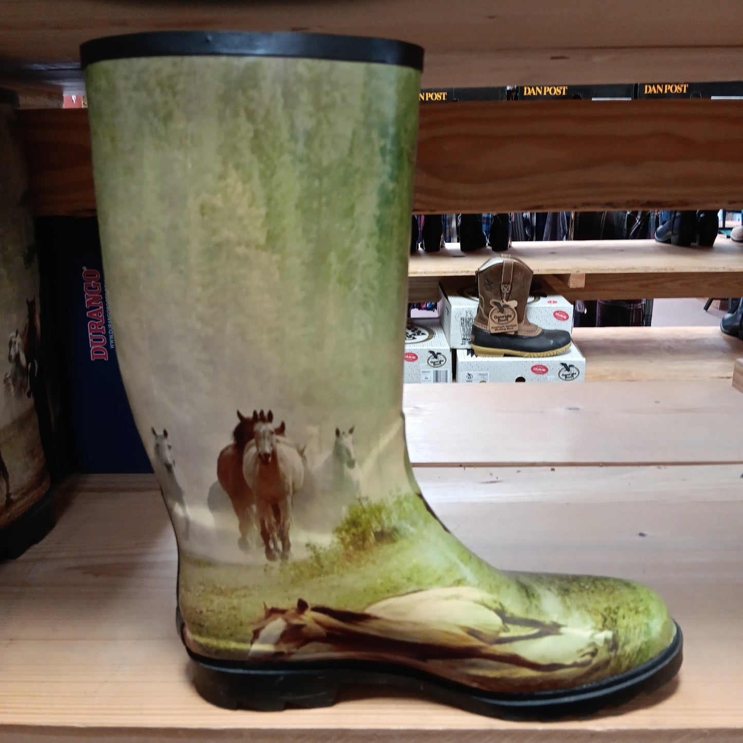 Ladies forest horse background 6709