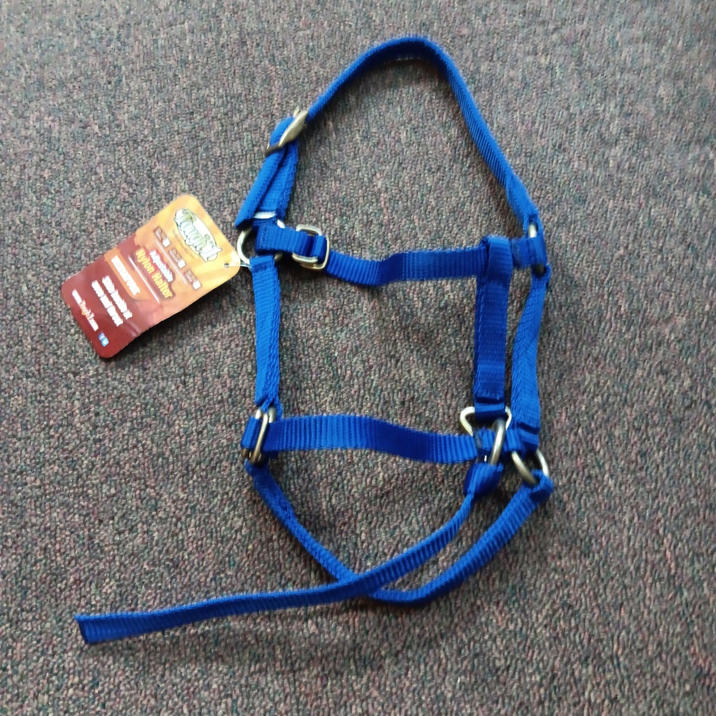 JT Mini Halter-blue : mini