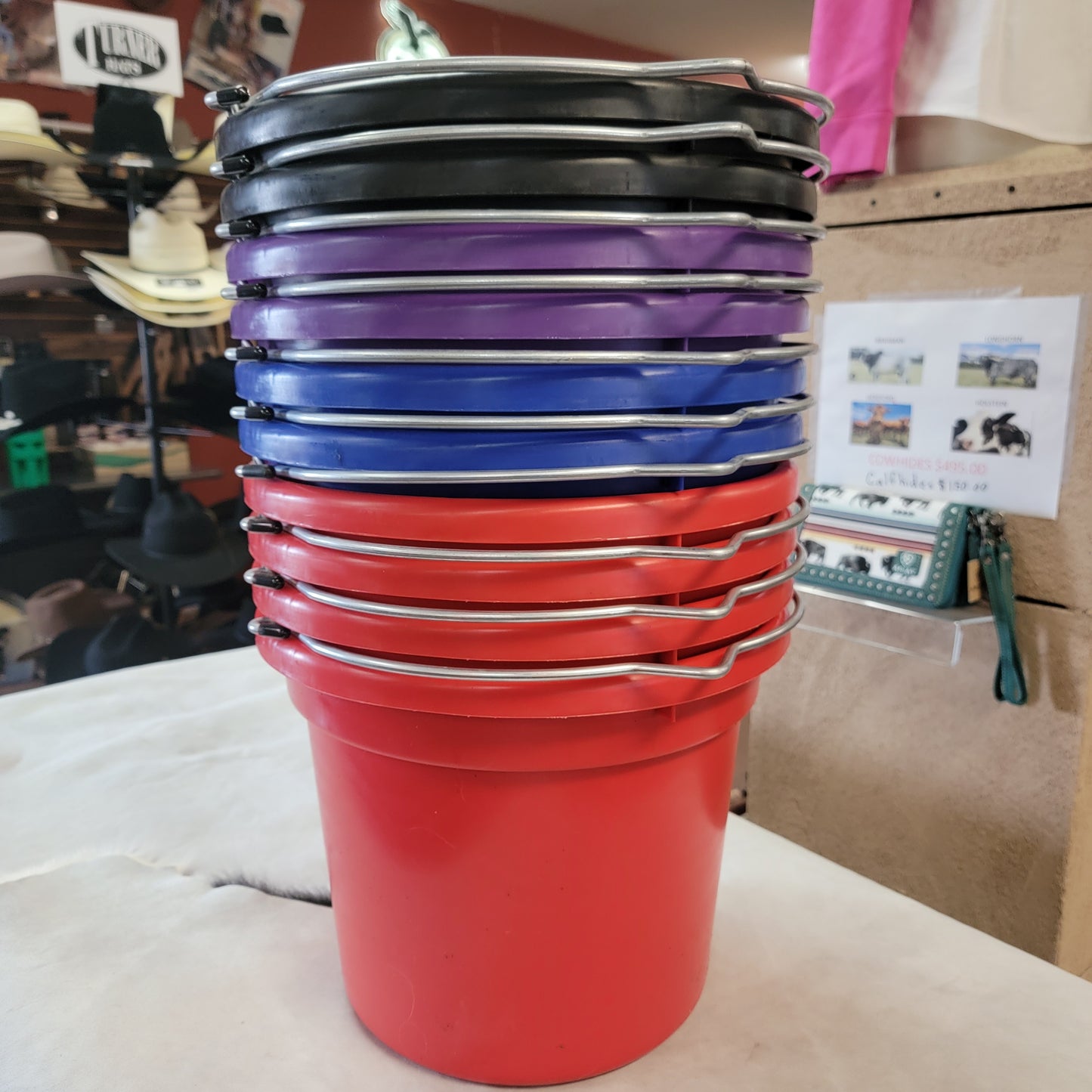 20 quart bucket