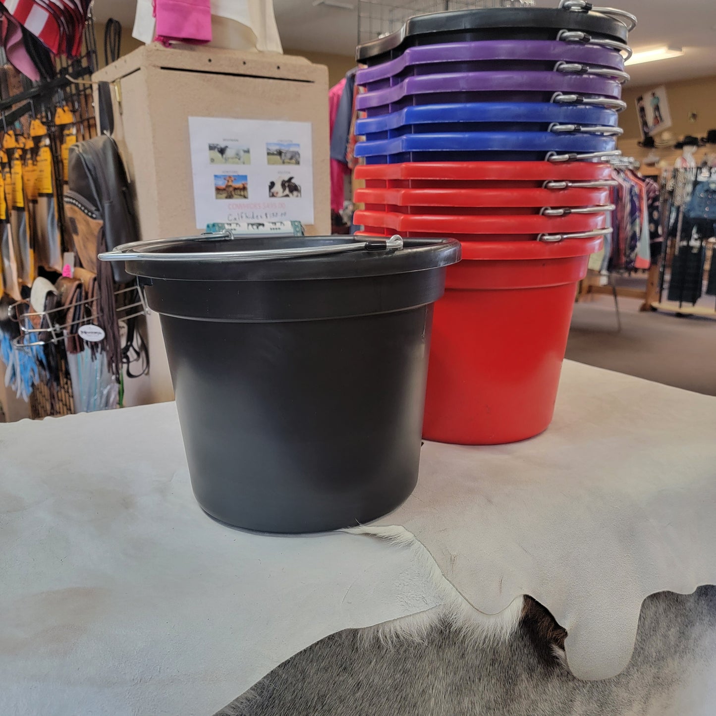 20 quart bucket