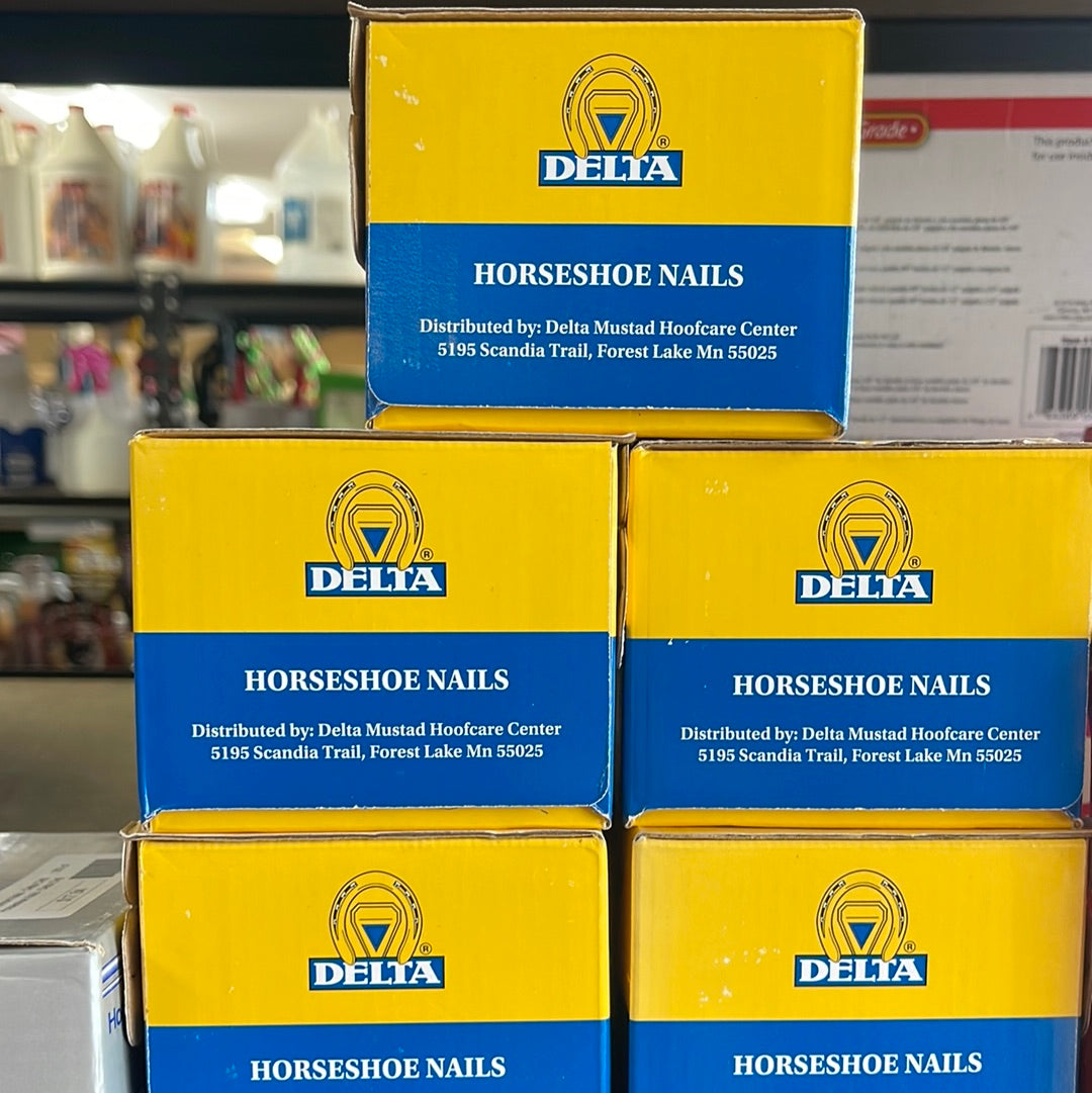 Horse shoe nails Delta CH5-box : 500ct