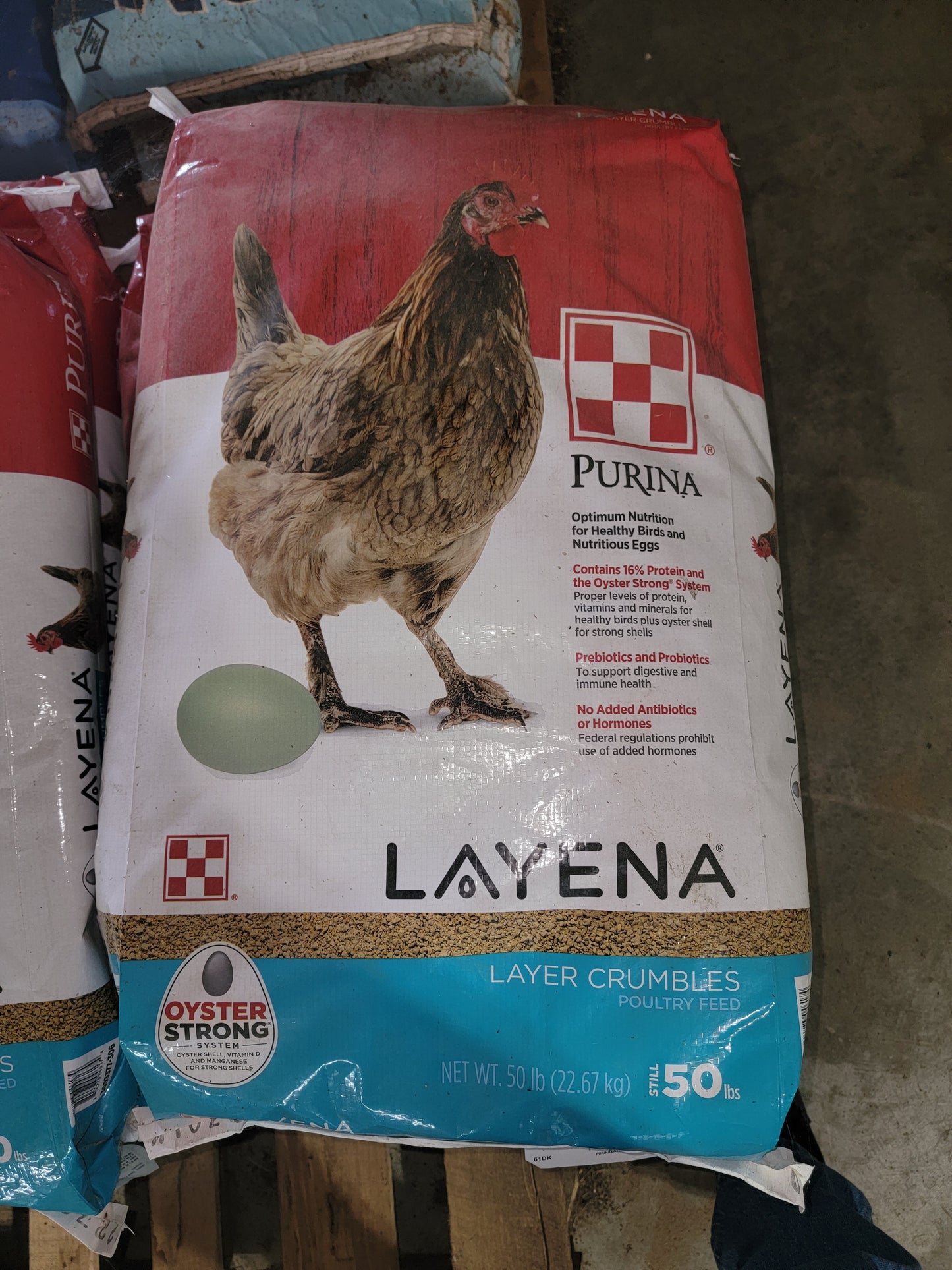 Purina Layena Pellets-50#