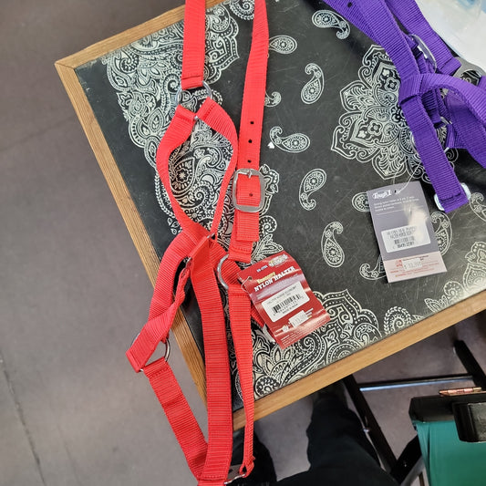 Economy horse halter