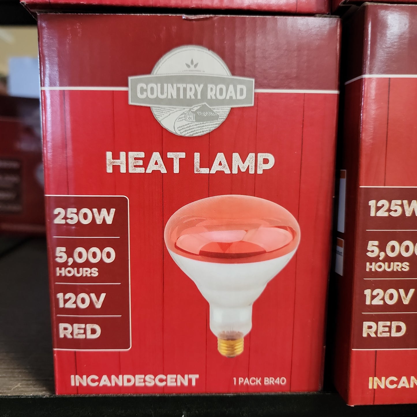 Heat Lamp Bulb