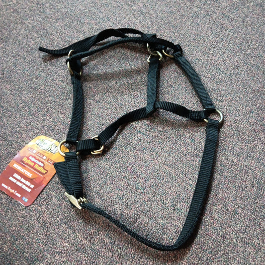 Nylon halter