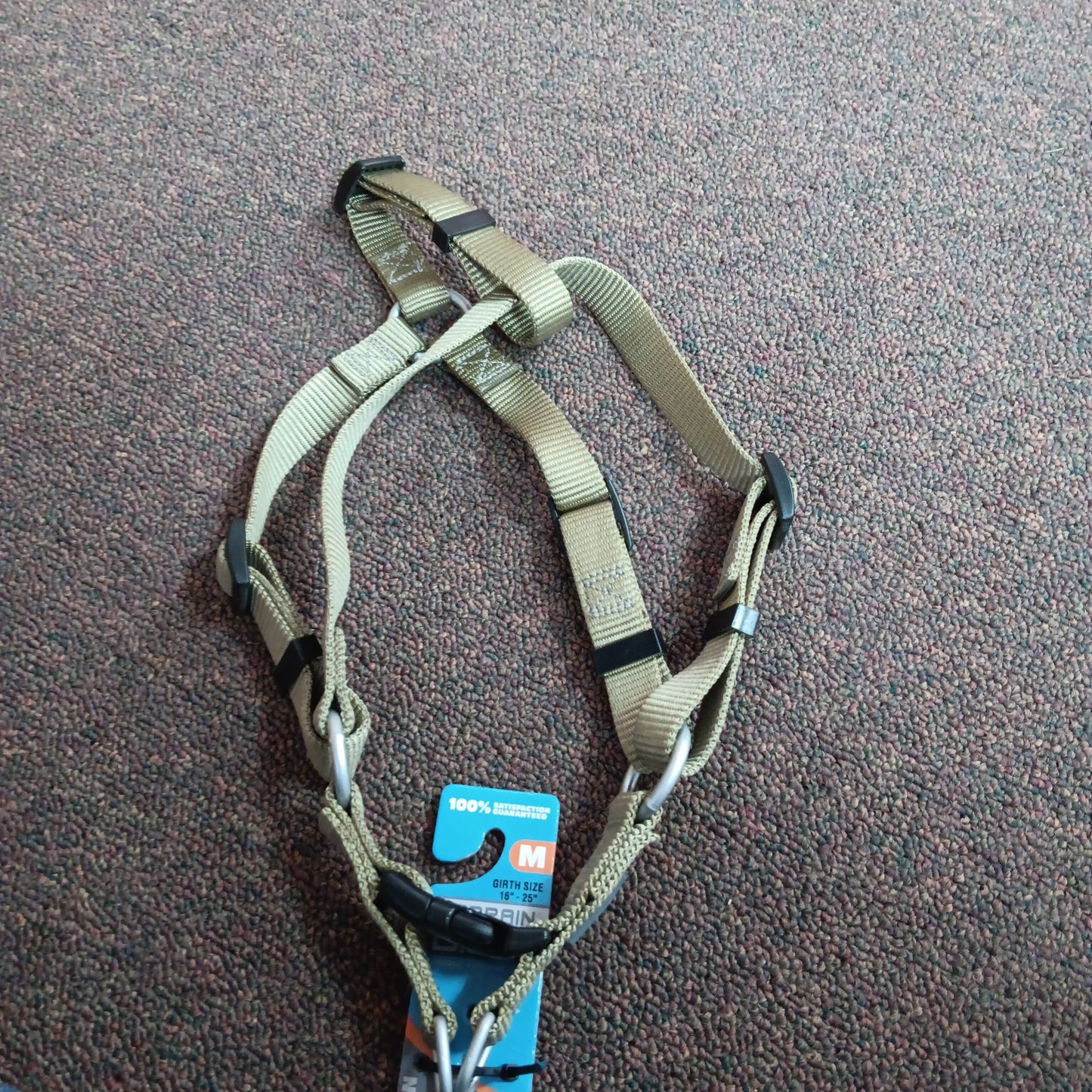 TERRAIN DOG COLLAR-GREEN : LARGE