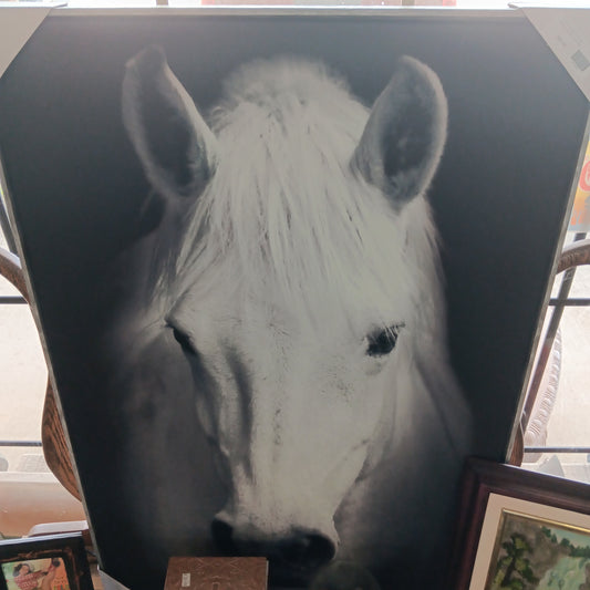 WHITE HORSE PICTURE-LARGE