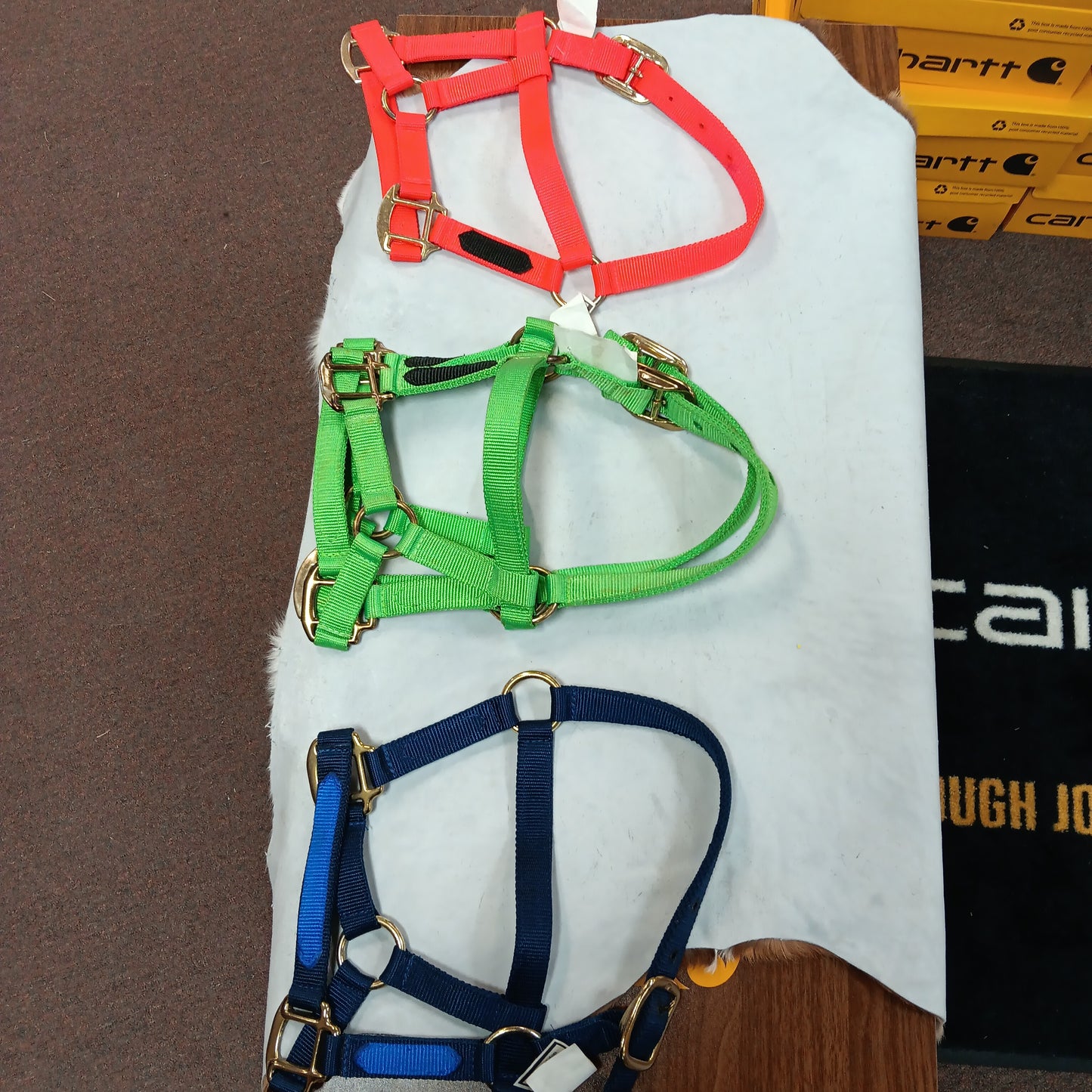 Mini horse halter