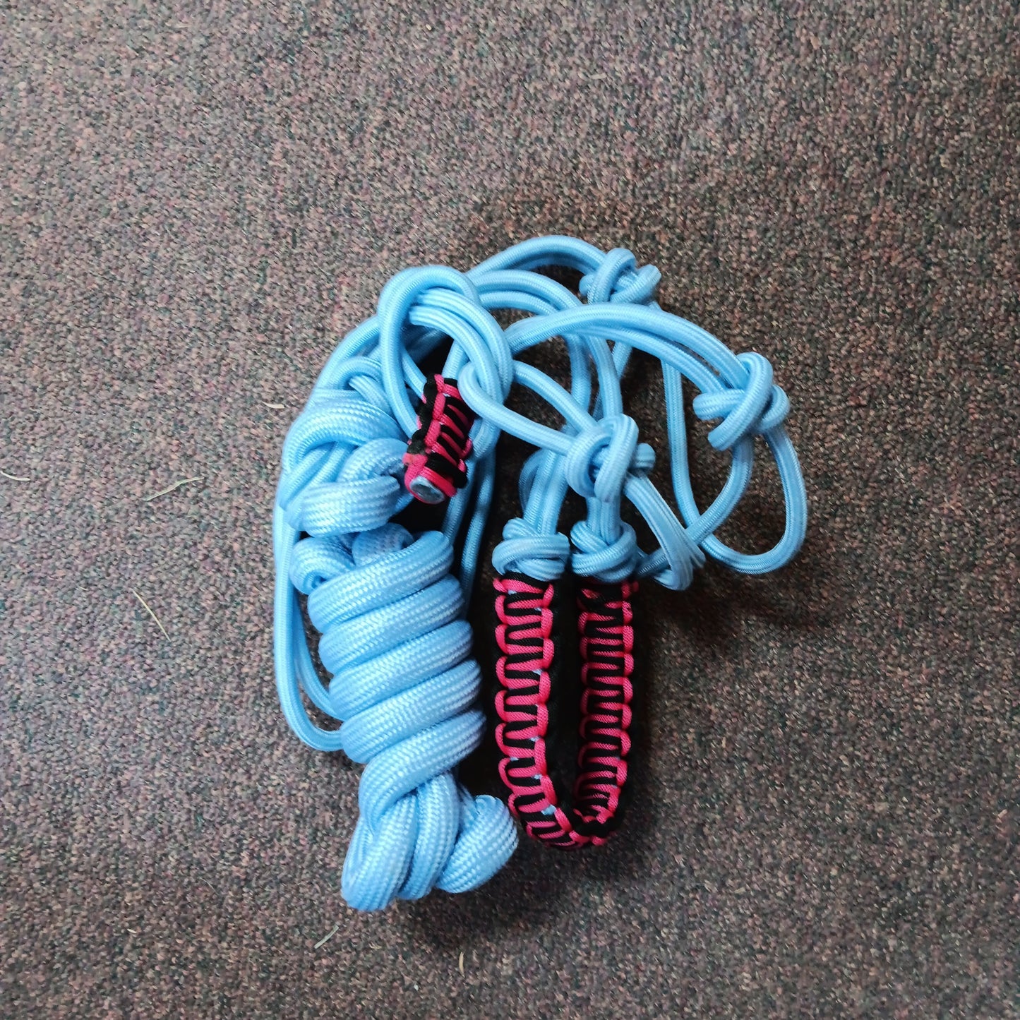 Nylon braided rope halter with lead rope