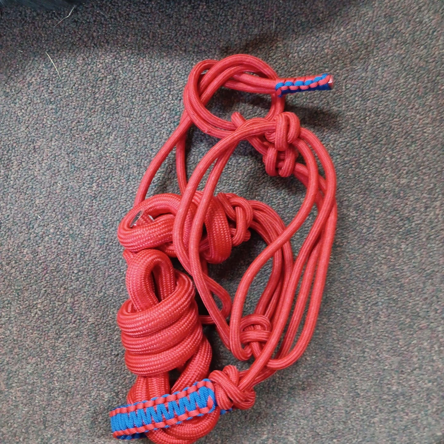 Nylon braided rope halter with lead rope