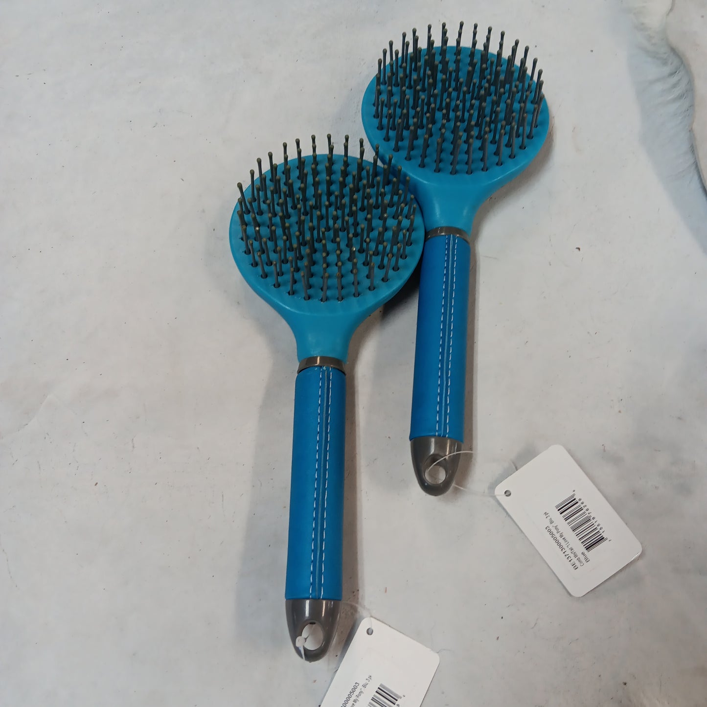 Fushsia comb main&tail