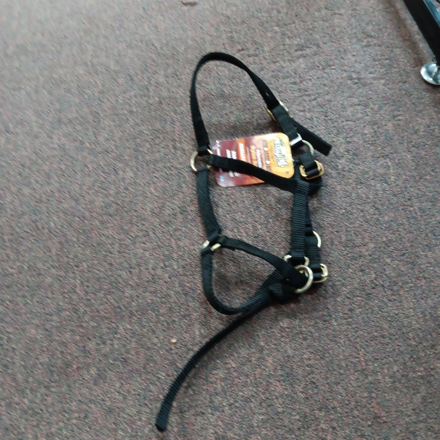 JT Mini Halter-black : mini