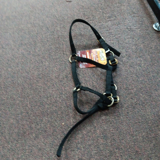 JT Mini Halter-black : mini
