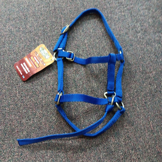 JT Mini Halter-blue : mini