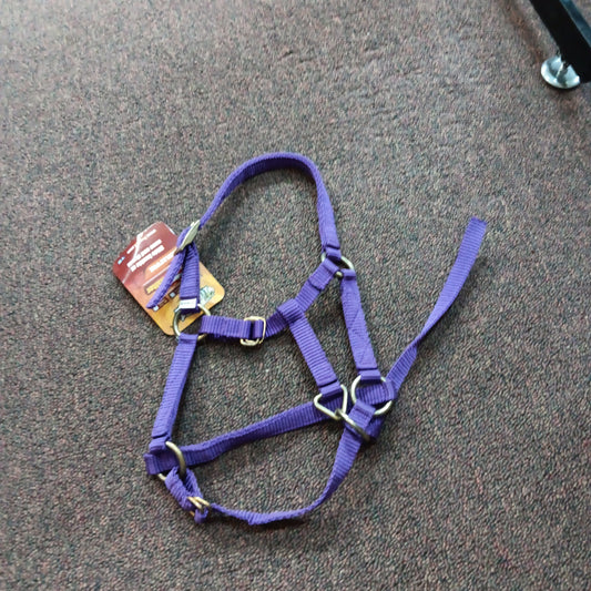 JT Mini Halter-purple : mini