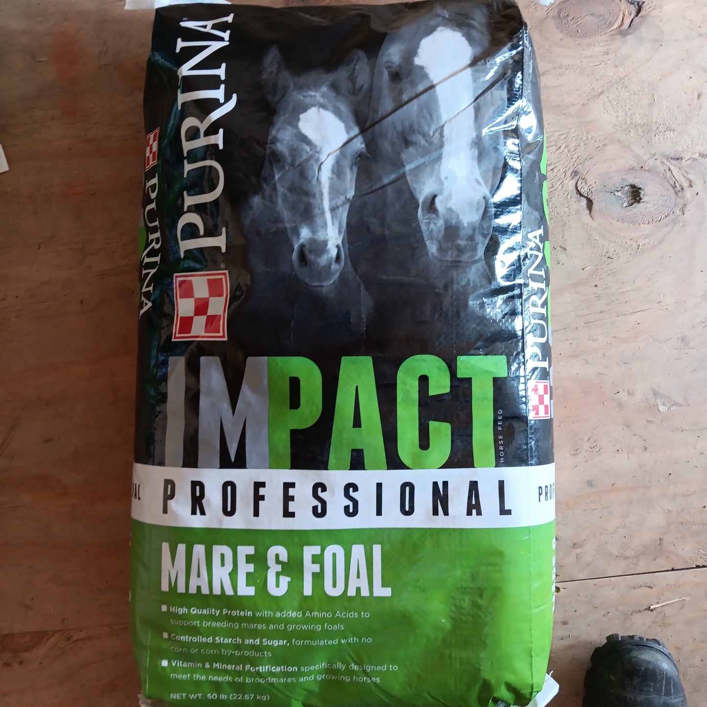 Purina Impact Professional Mare and Foal