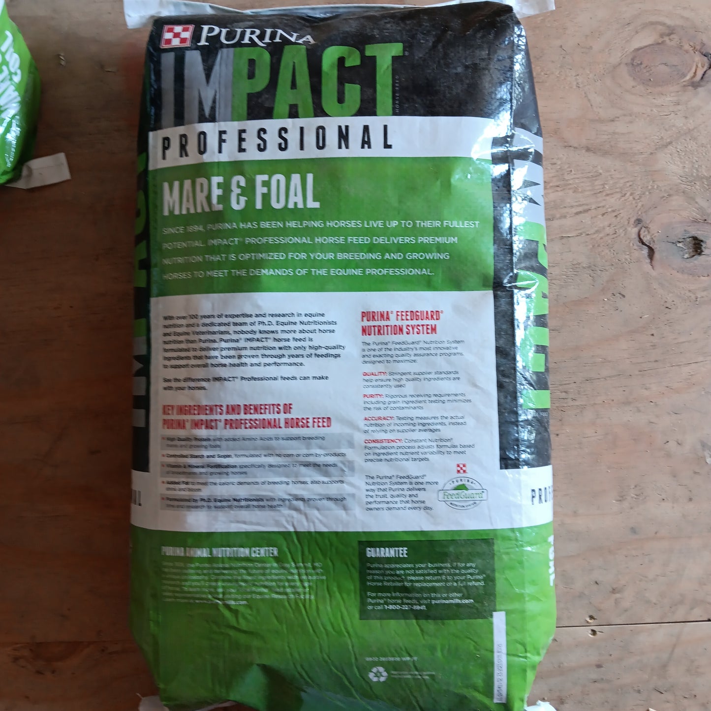 Purina Impact Professional Mare and Foal