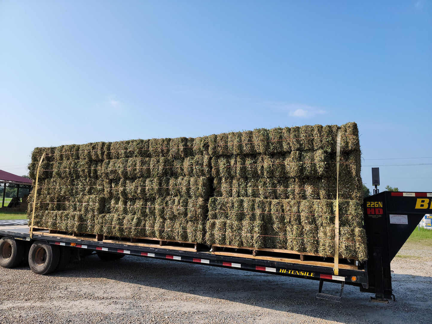 Hay Perennial Peanut Hay-65#