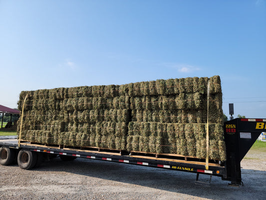 Hay Perennial Peanut Hay-65#