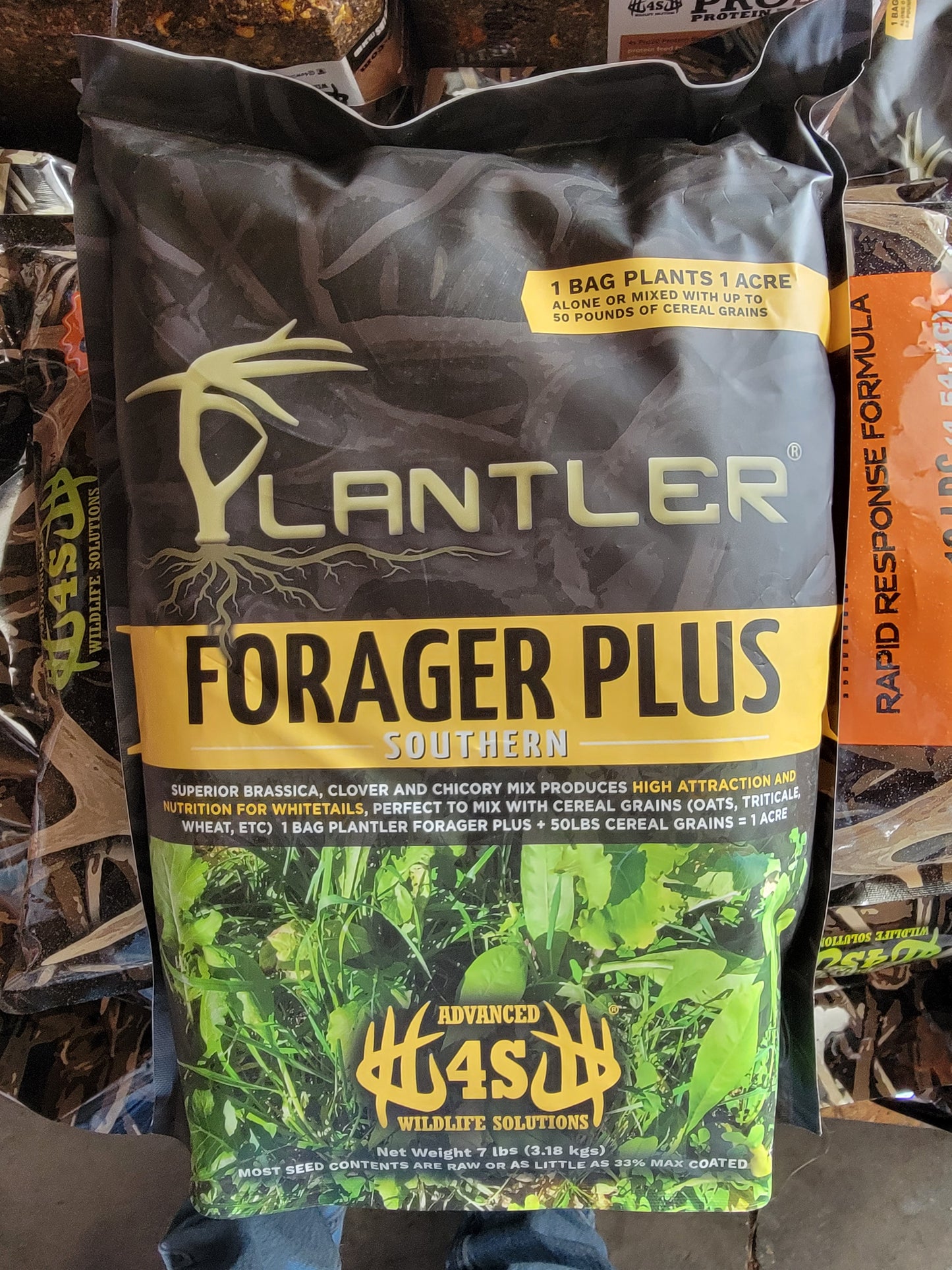 Forager Plus Southern Deer Food plot mix.