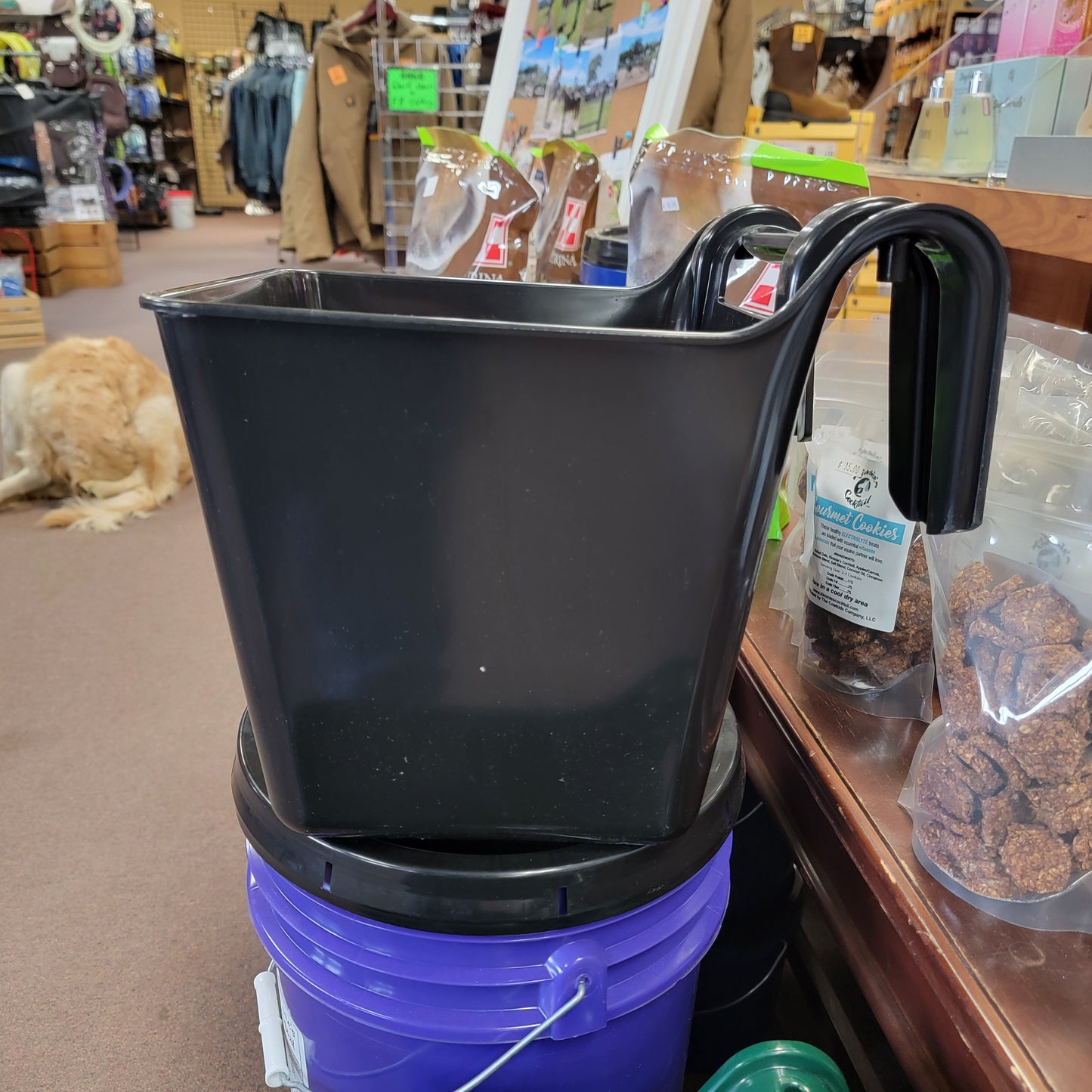 Hook Over Feeder-Hook over : 12 qt