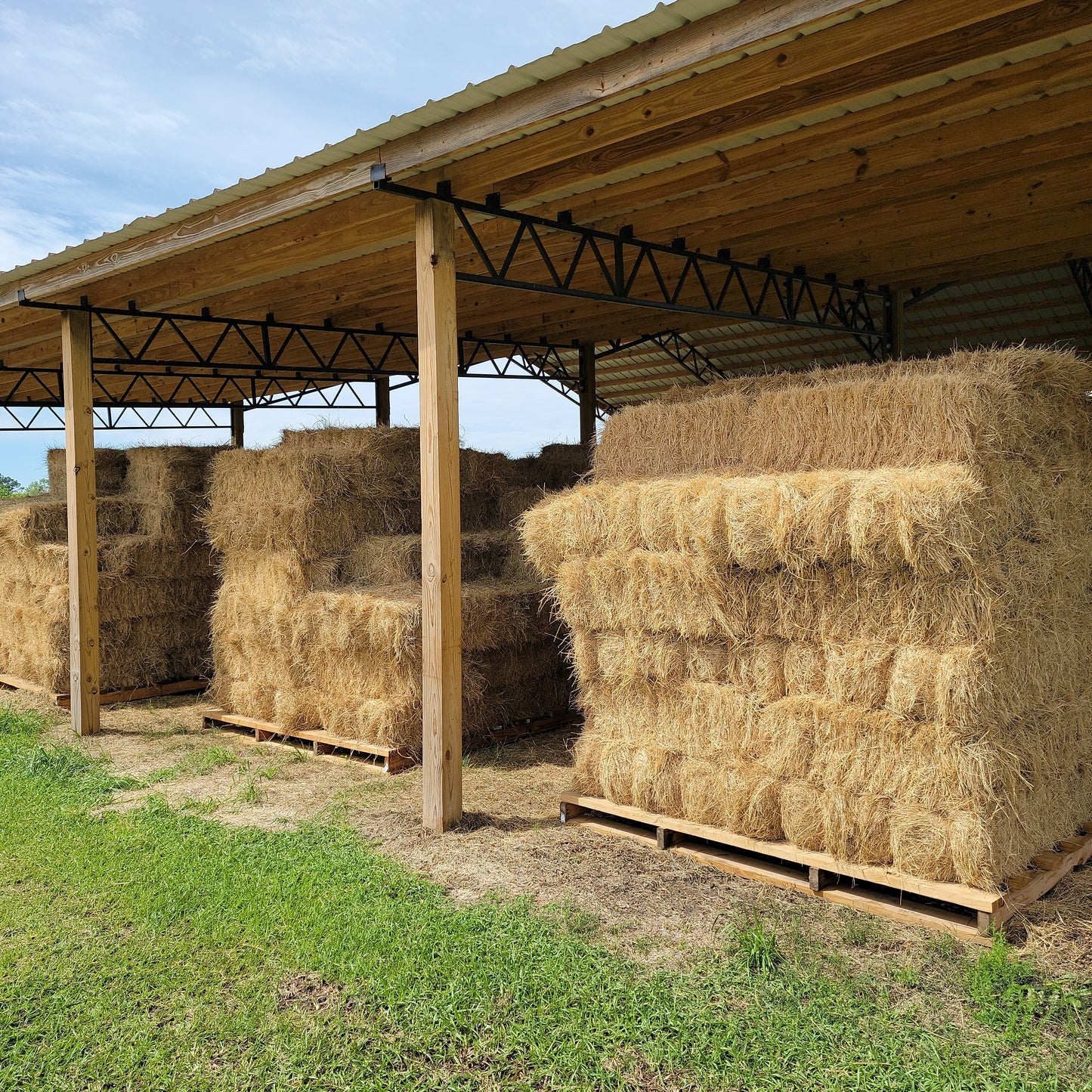 Hay Square Bale Grass-50#