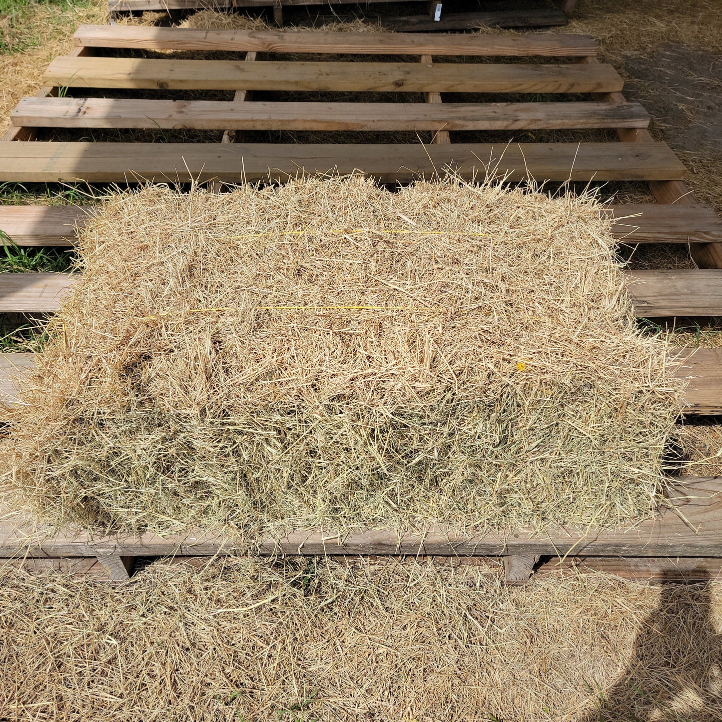 Hay Square Bale Grass-50#