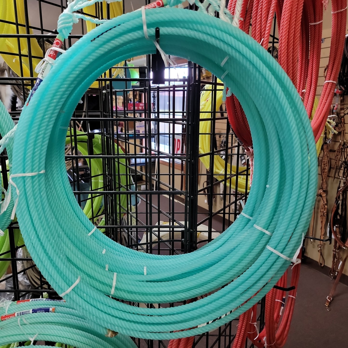 Classic Powerline Lite rope 35' M-blue : 35'