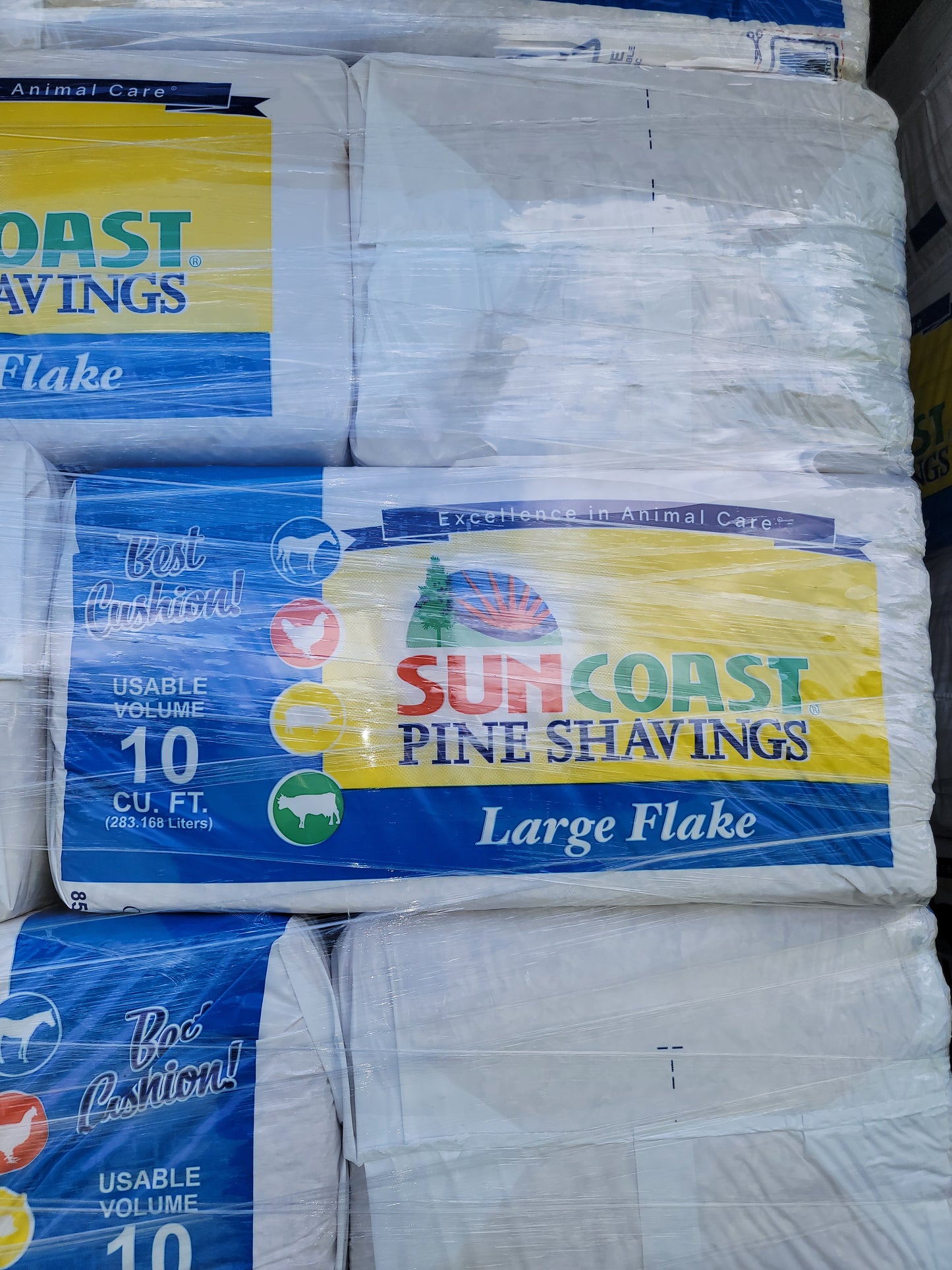 Suncoast Large Flake Shavings-10CF